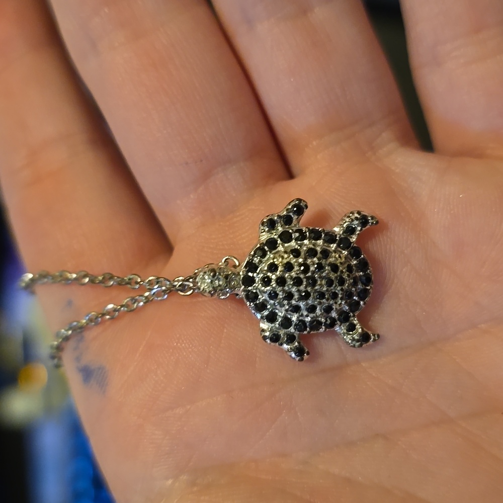 Silver Turtle Necklace